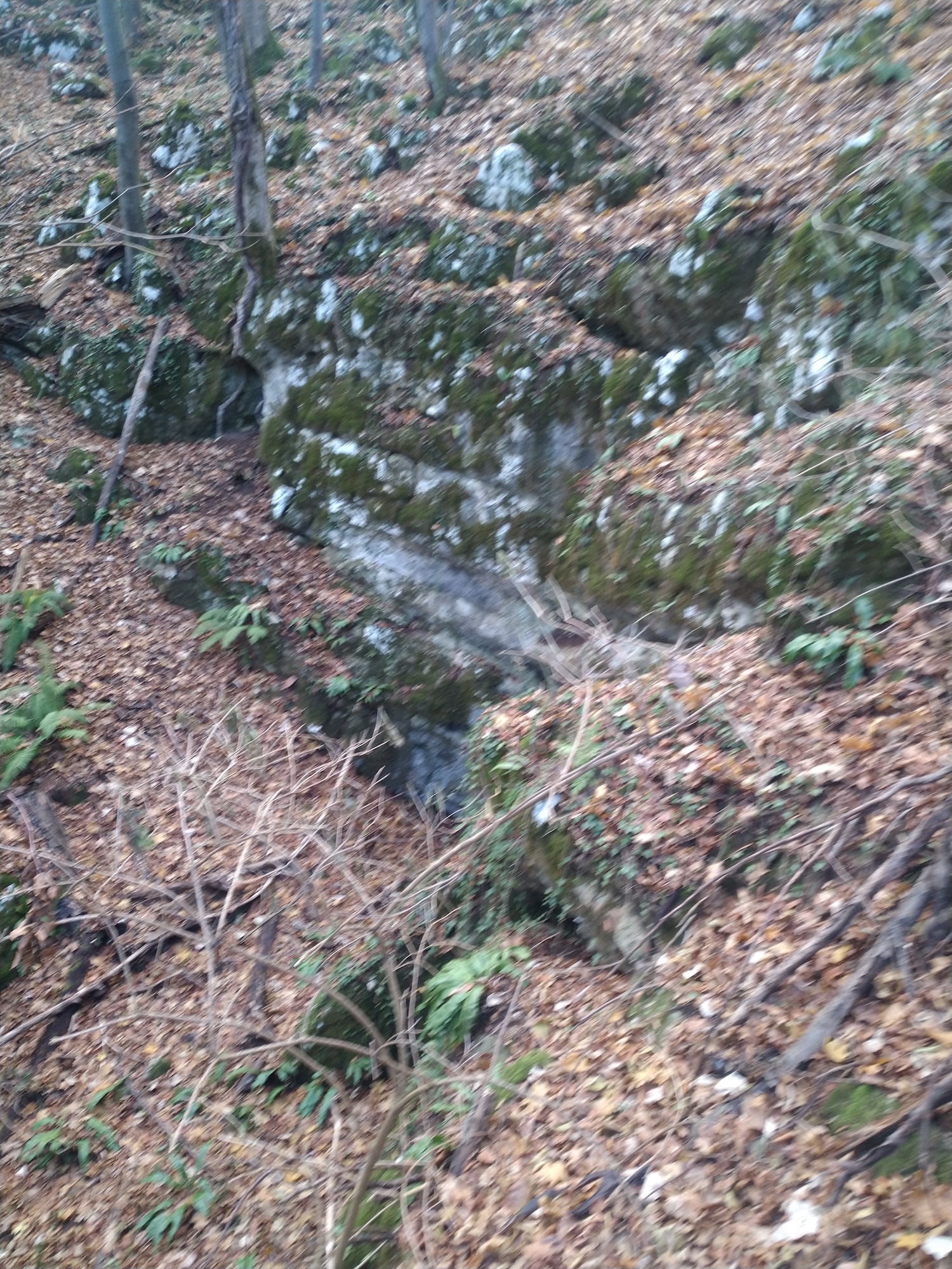 Pestera cu Meandre - Image 5